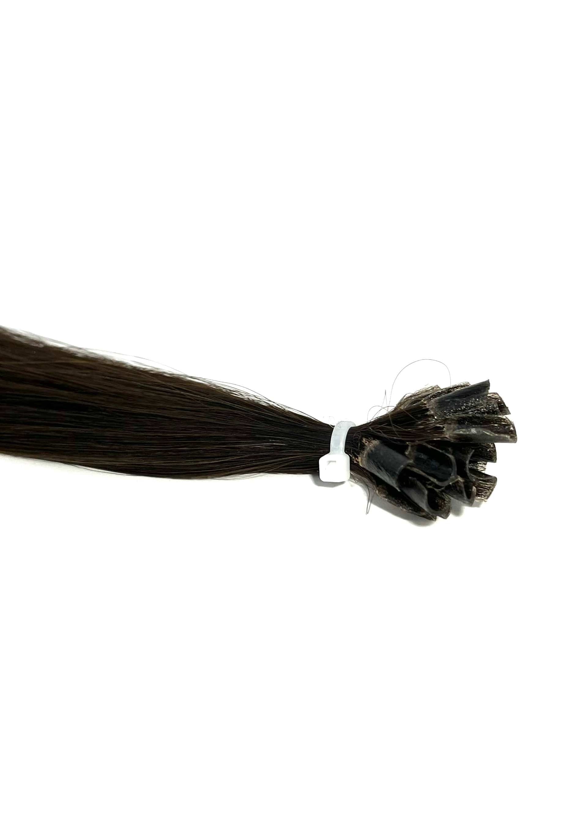 22" U-Tip Hair Extensions #2 Chocolate Brunette - Platinum Lockz Hair Extensions & Supplies