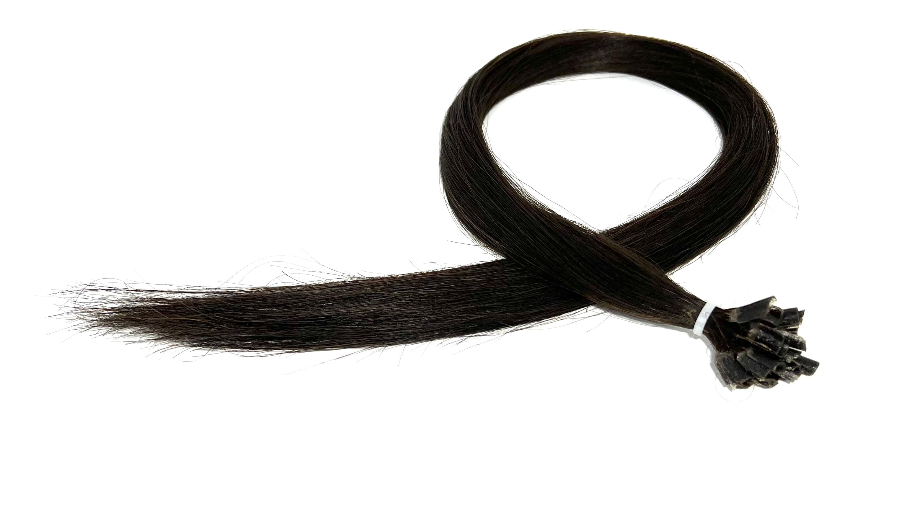 22" U-Tip Hair Extensions #2 Chocolate Brunette - Platinum Lockz Hair Extensions & Supplies