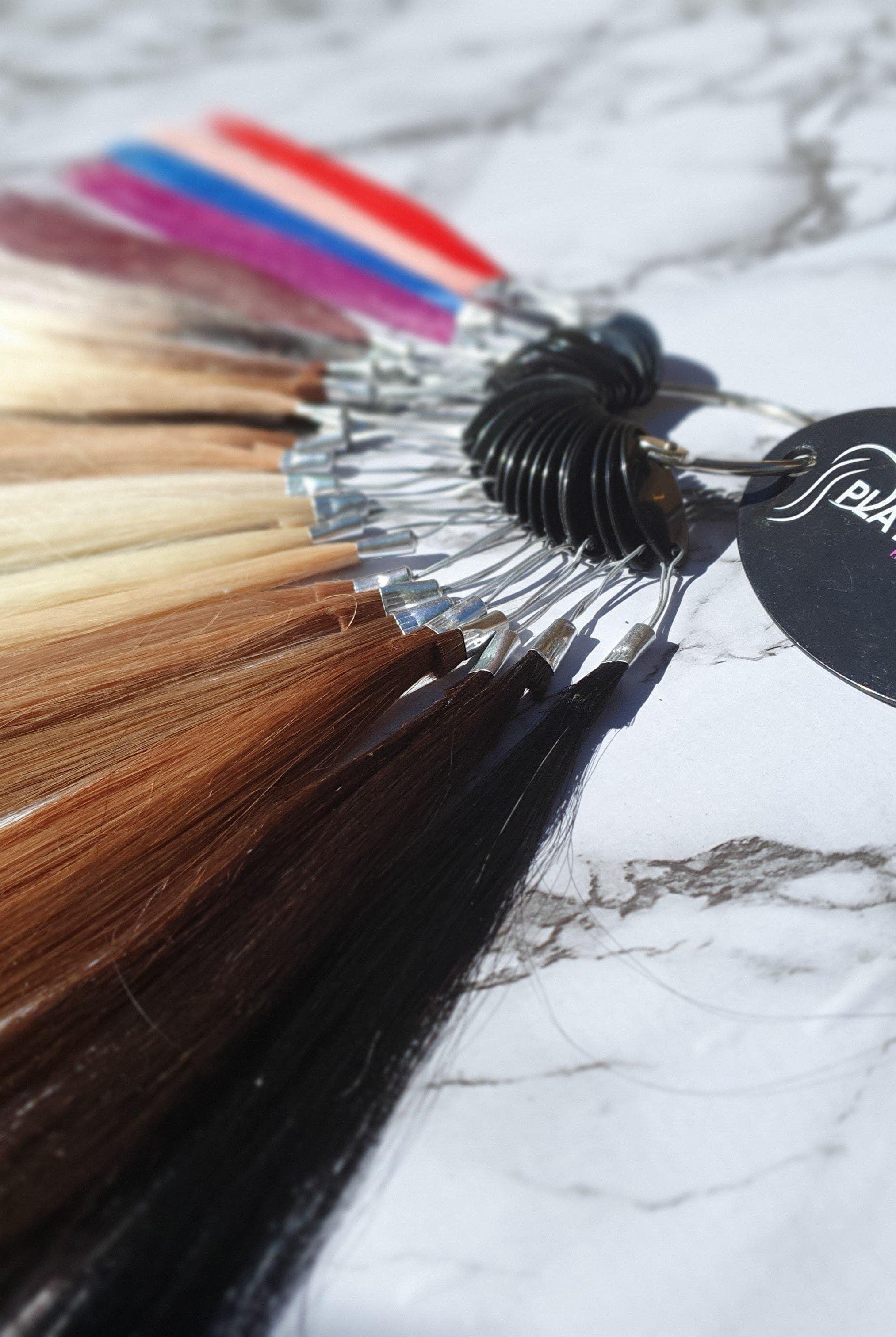 Colour Wheel - Platinum Lockz | Hair Extensions & Supplies