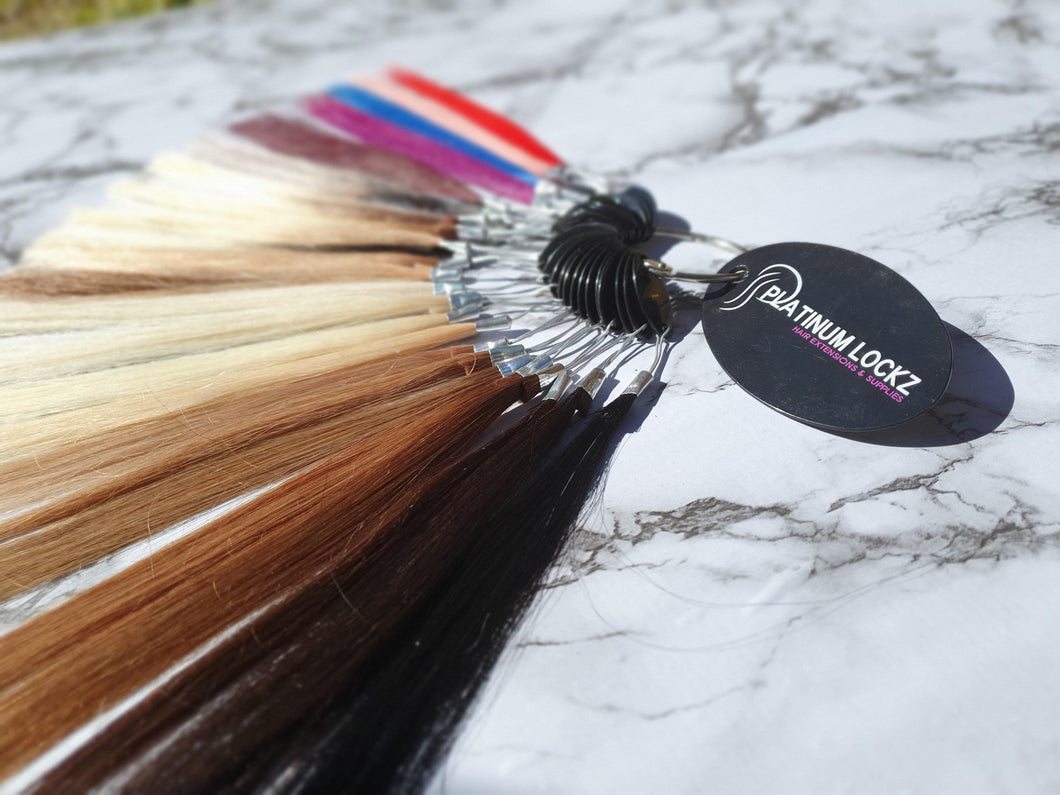 Colour Wheel - Platinum Lockz | Hair Extensions & Supplies