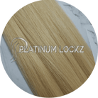 Hair Extensions | Remy European 20" Tape #24 Beige Blonde - Platinum Lockz | Hair Extensions & Supplies