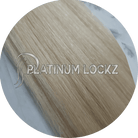 26" Tape Hair Extensions #60 Platinum Blonde - Platinum Lockz | Hair Extensions & Supplies